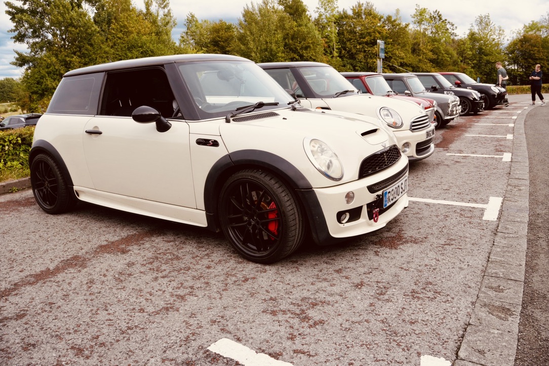 A white Mini at a gathering of Minis
