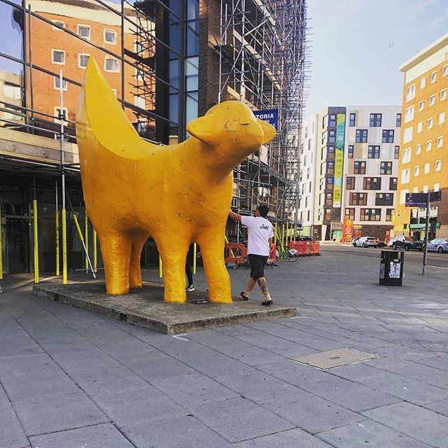 #superlambanana #liverpool #stag