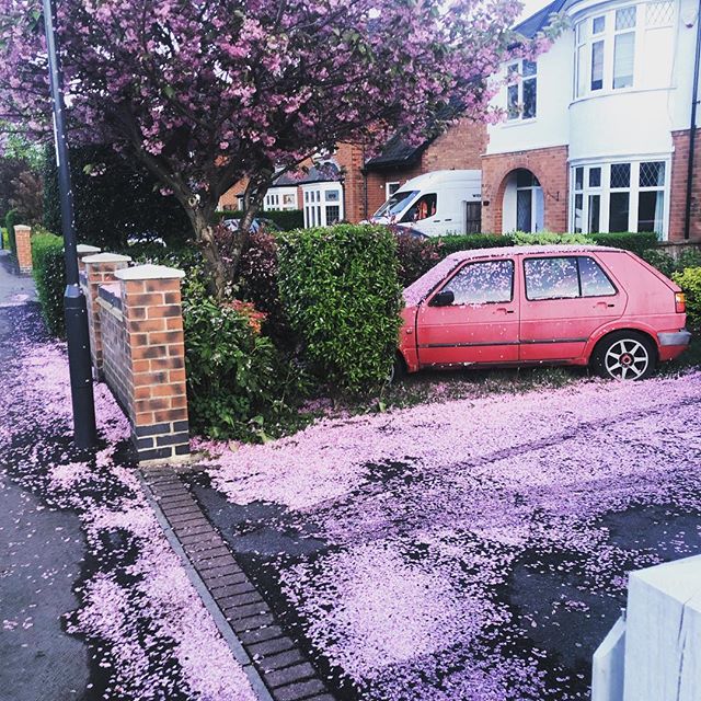 #blossom #mk2golf #golfgti